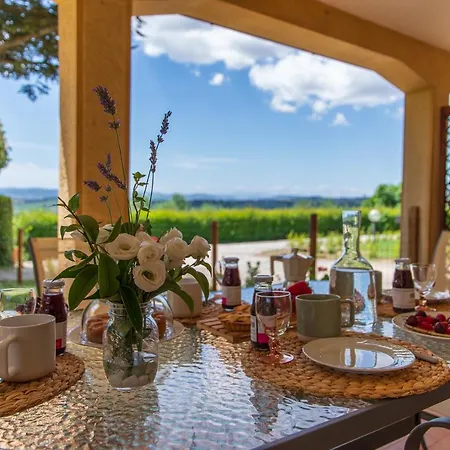 Apartment Leccino Piano Terra By Yohome Fiorenzuola di Focara