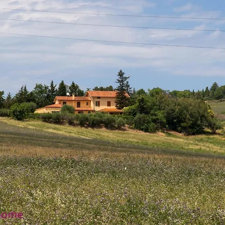 Leccino Piano Terra By Yohome Apartment Fiorenzuola di Focara