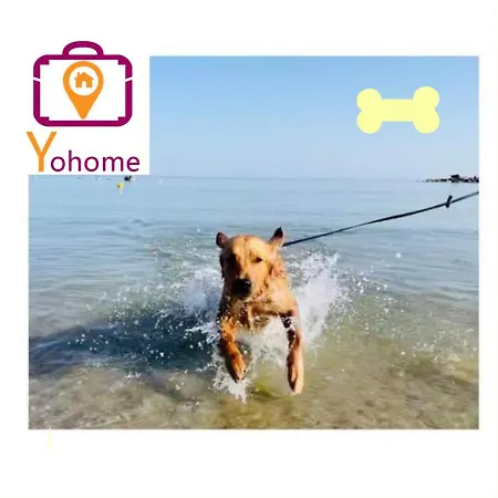 Leccino Piano Terra By Yohome * Fiorenzuola di Focara